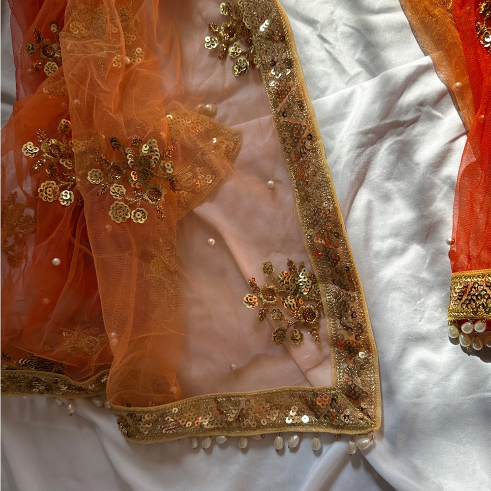 Authentic Designer Sari - Picture 5 of 5